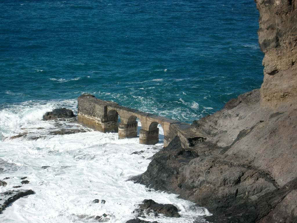 IMGP0484