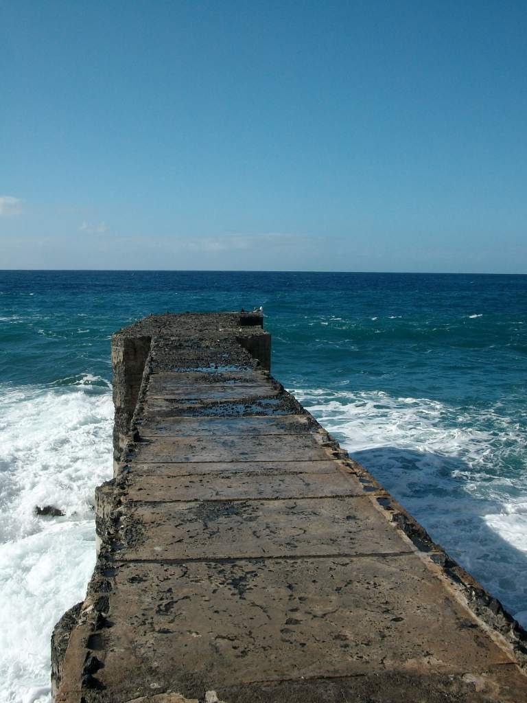 IMGP0487