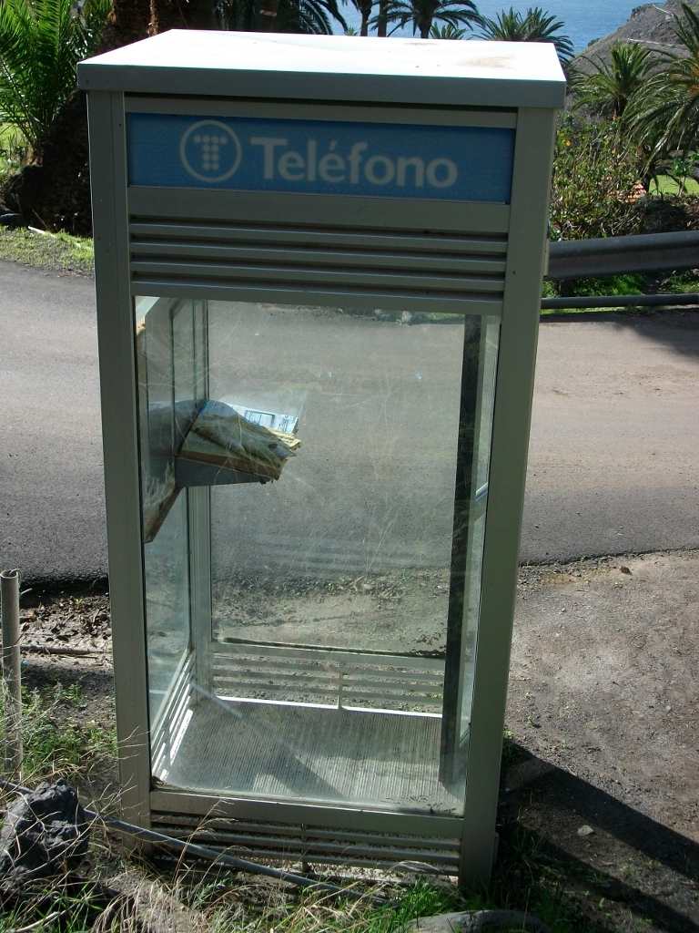 IMGP0489