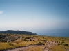 n_imm002_2a.jpg