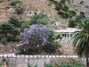 n_imm018_18a.jpg