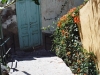 n_imm018_19a.jpg