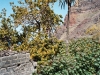 n_imm022_23a.jpg