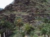 n_imm027_28a.jpg