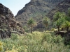 n_imm028_29a.jpg