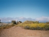n_imm033_33a.jpg