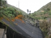 la_gomera_2013_img_1848