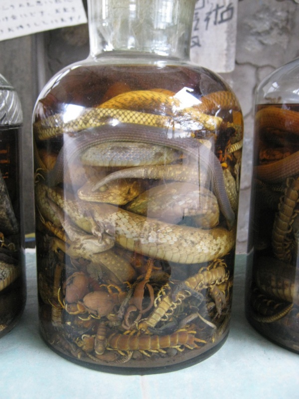 Luang Prabang Schnaps aus Reptilien - lecker